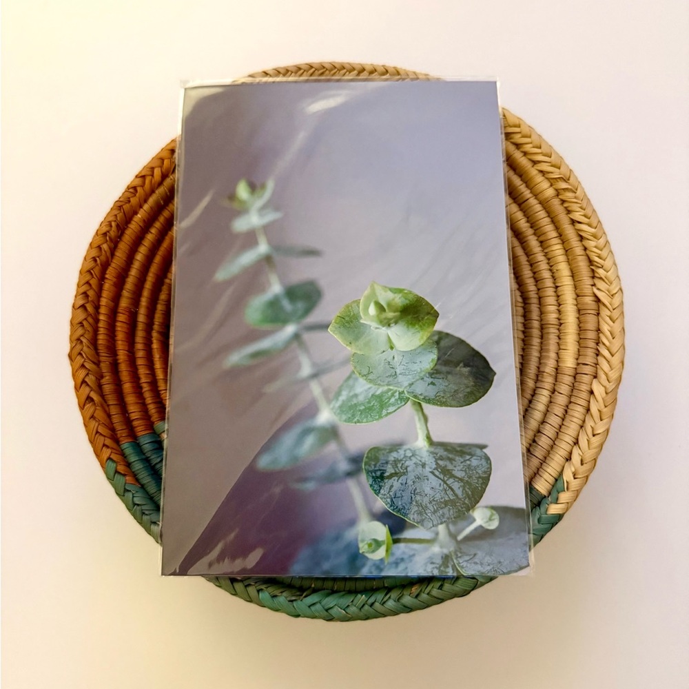 🌿4x6 Elegant Eucalyptus Greenery Print
